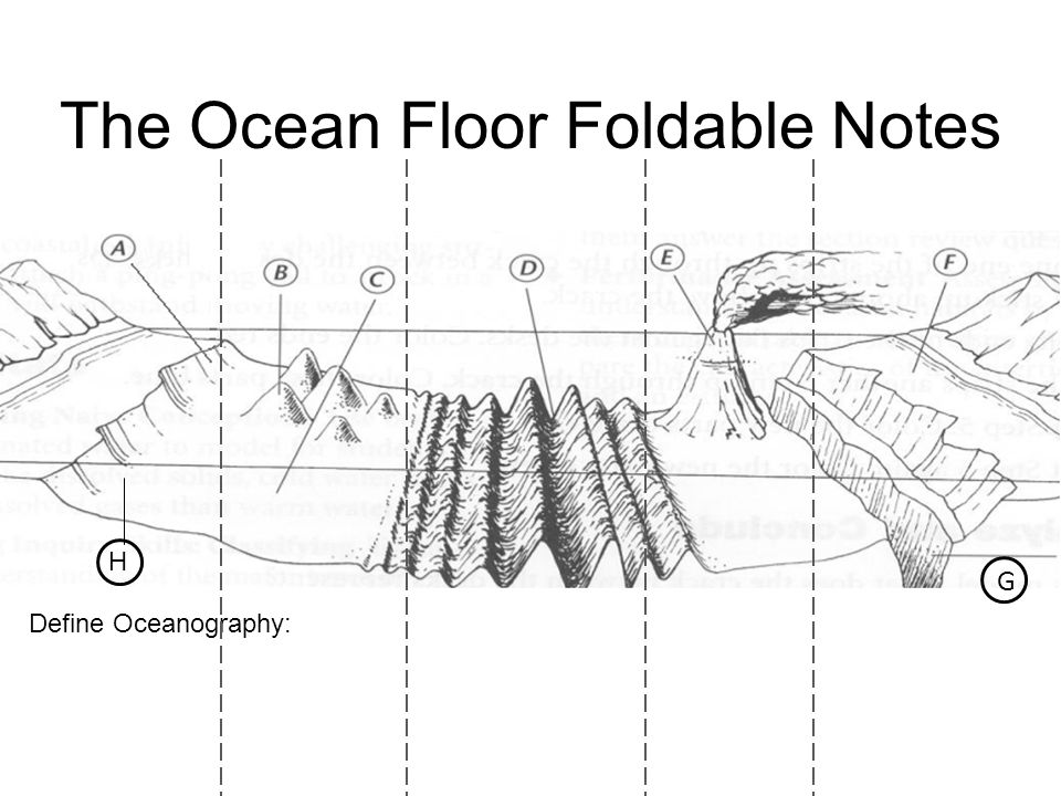 Image result for ocean floor foldable